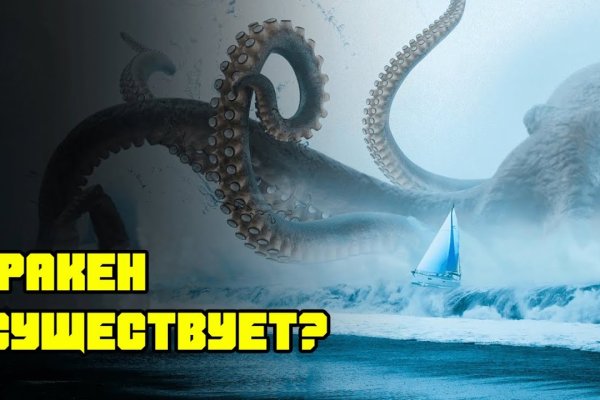 Kraken это: Современные решения